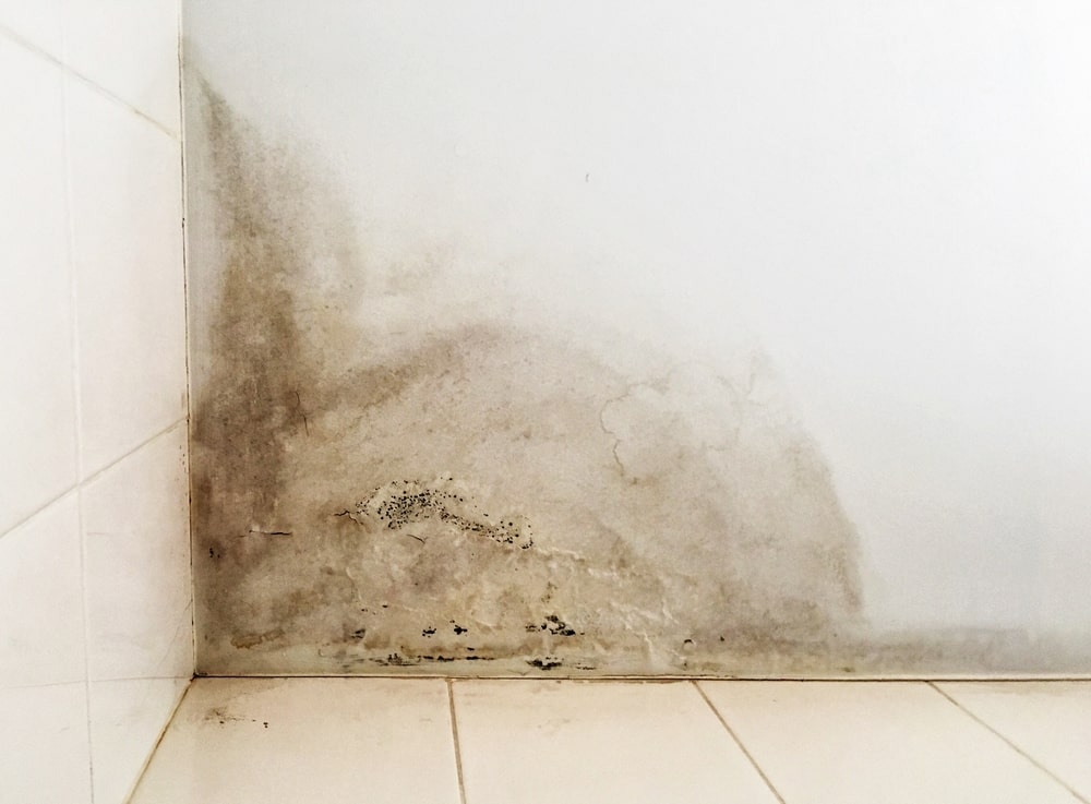 mold on wall due to flood damage