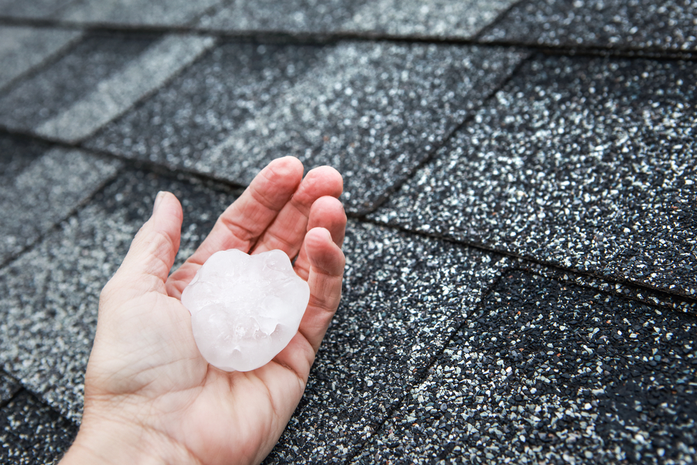 weather damage repair washington