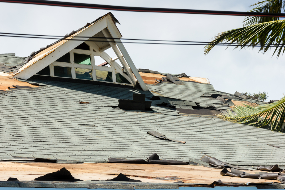 weather damage repair washington