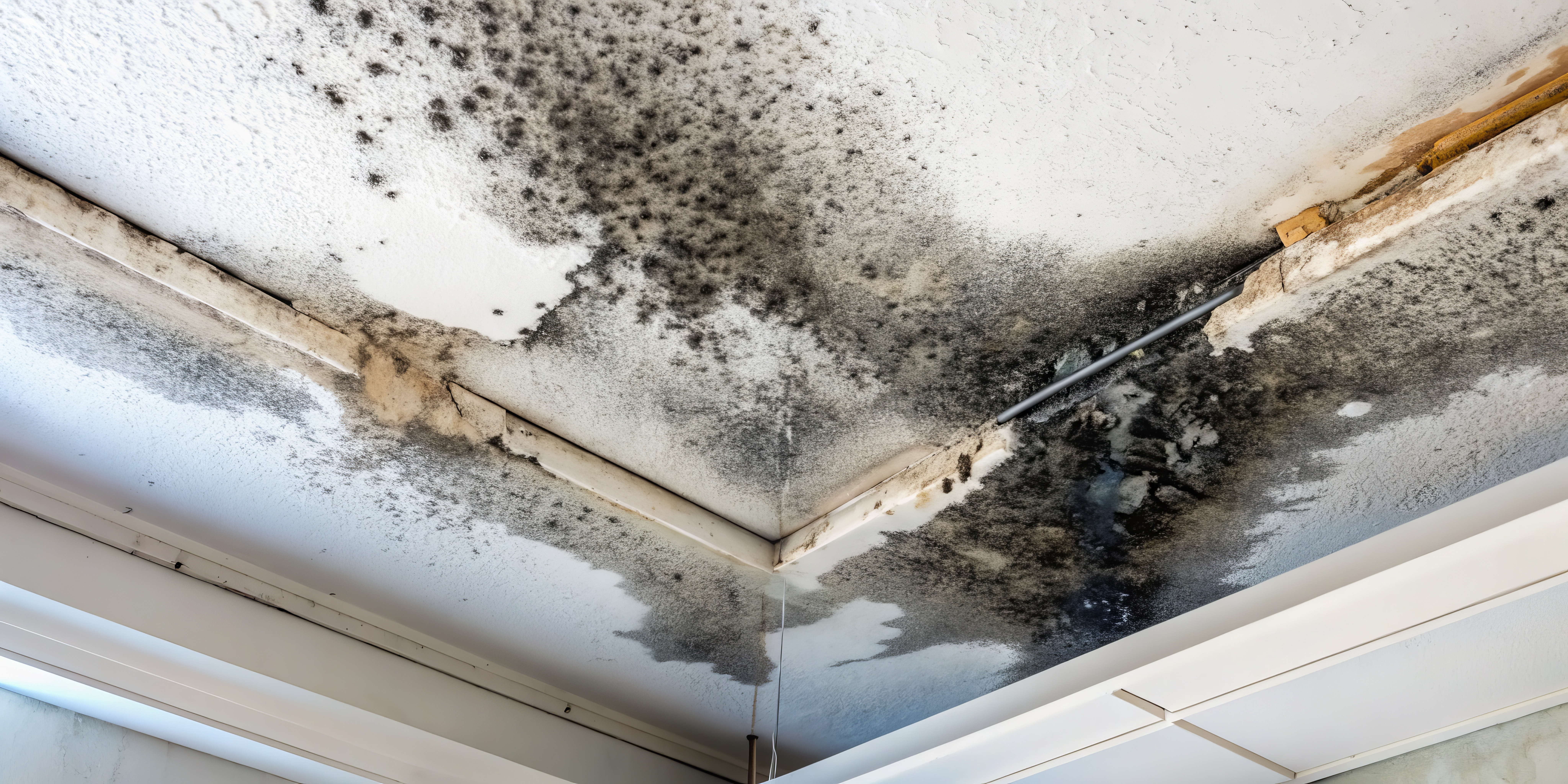 {{city}} Water Damage Restoration-Puyallup-WA